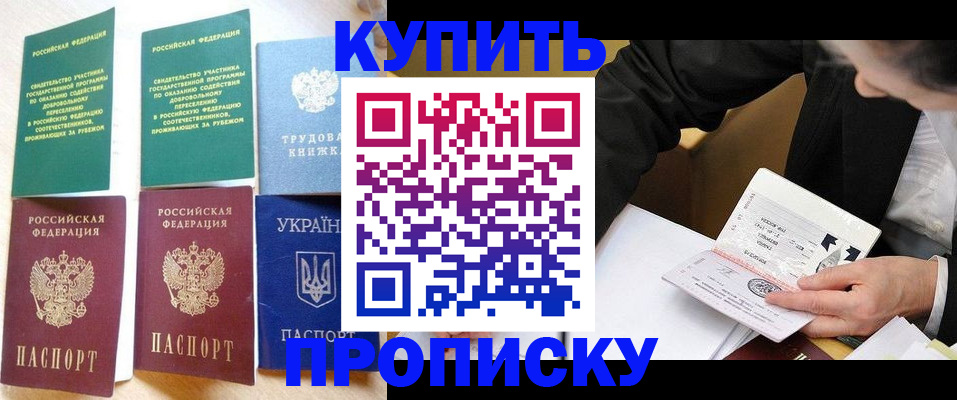 прописка для школы в Купино